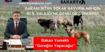 BİZİM DÜZCE GAZETESİ