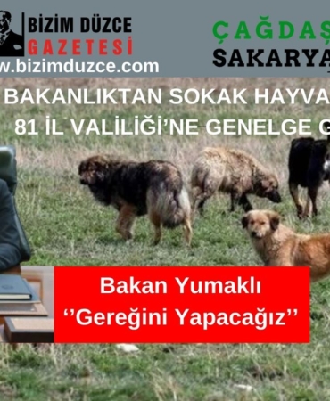 BİZİM DÜZCE GAZETESİ