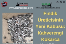 BİZİM DÜZCE GAZETESİ (2)