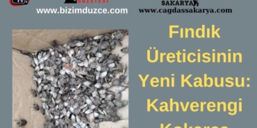 BİZİM DÜZCE GAZETESİ (2)