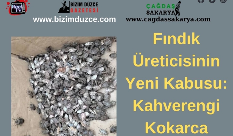BİZİM DÜZCE GAZETESİ (2)