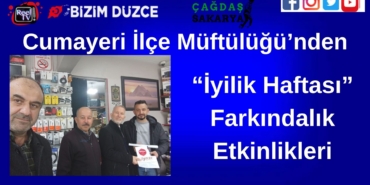 Reel TV (2)