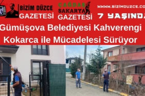kocarca 1