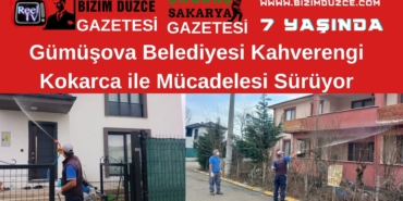 kocarca 1