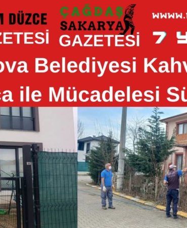 kocarca 1