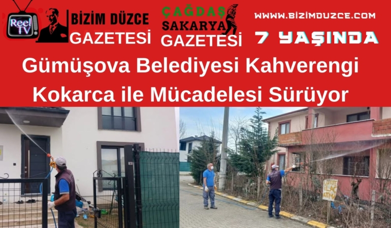 kocarca 1