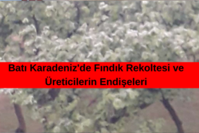 Düzce’de Stajyer Avukatlara Vergi Eğitimi Verildi (1)