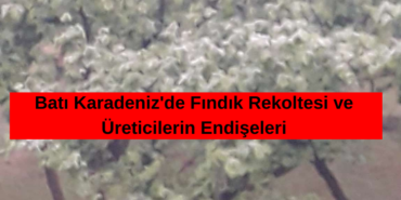 Düzce’de Stajyer Avukatlara Vergi Eğitimi Verildi (1)