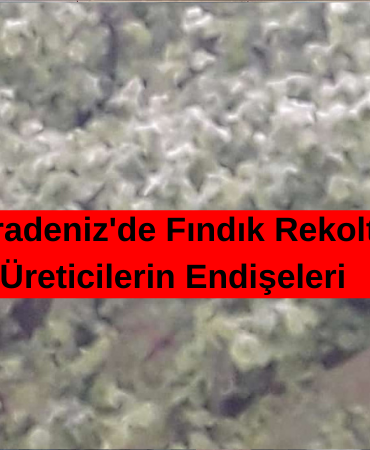 Düzce’de Stajyer Avukatlara Vergi Eğitimi Verildi (1)