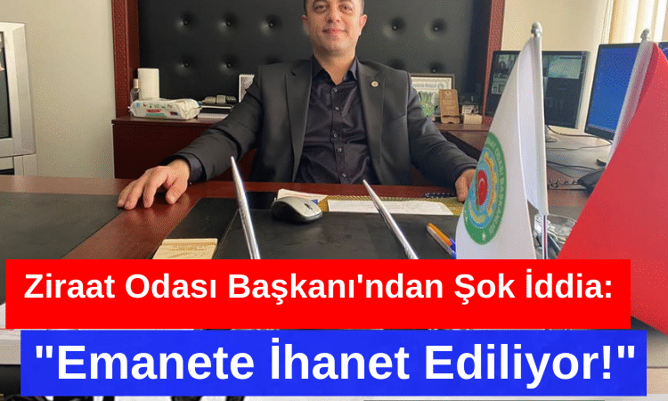 Düzce’de Stajyer Avukatlara Vergi Eğitimi Verildi