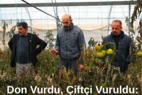 Düzce’de Stajyer Avukatlara Vergi Eğitimi Verildi (2)