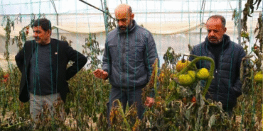 Düzce’de Stajyer Avukatlara Vergi Eğitimi Verildi (2)