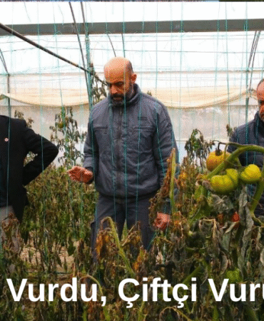 Düzce’de Stajyer Avukatlara Vergi Eğitimi Verildi (2)