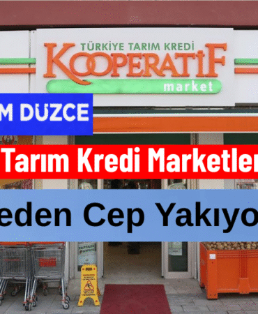 Düzce'nin Tarım Kredisi Çıkmazı: Düzce’de Stajyer Avukatlara Vergi Eğitimi Verildi (4)