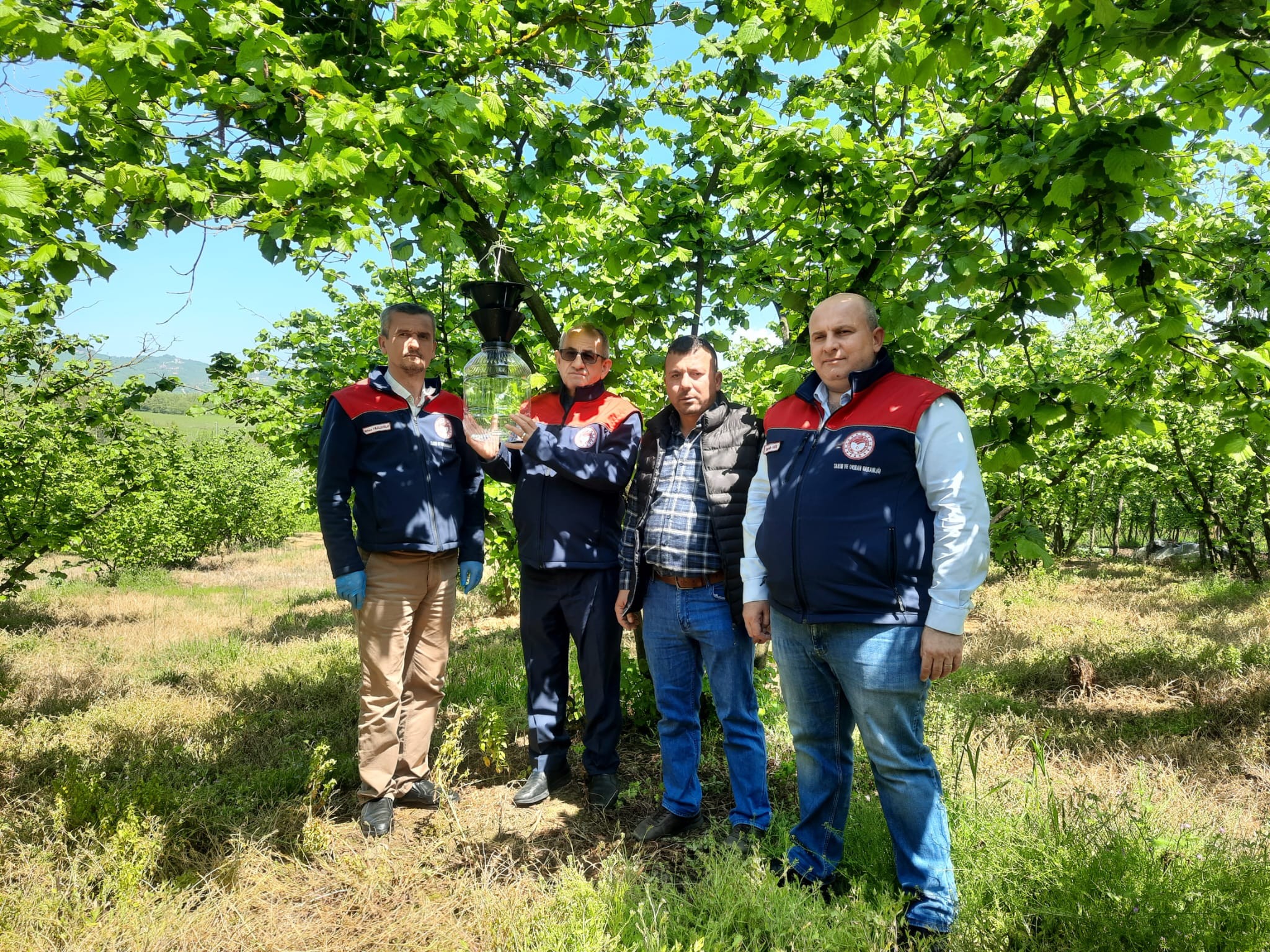 Gümüşova'dan Kahverengi Kokarcaya Karşı Örnek Proje: