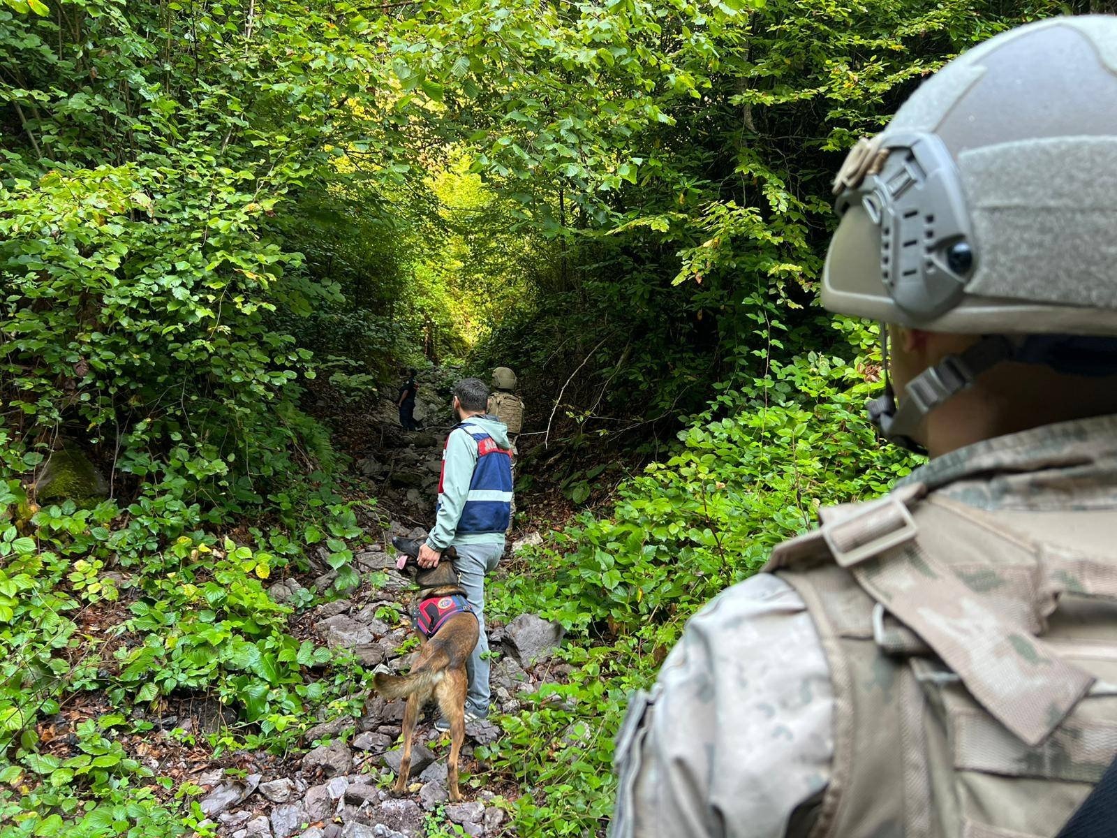 Düzce Yaylalarında Jandarmadan Huzur Operasyonları: