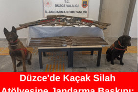 BİZİM DÜZCE GAZETESİ