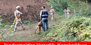 BİZİM DÜZCE GAZETESİ (2)