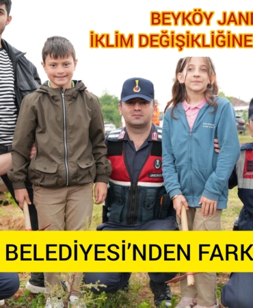 d55674fd-9c85-4d71-a3ee-6d5beaaf9b96