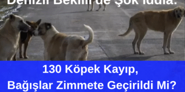 BİZİM DÜZCE GAZETESİ (3)