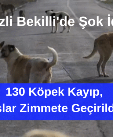 BİZİM DÜZCE GAZETESİ (3)