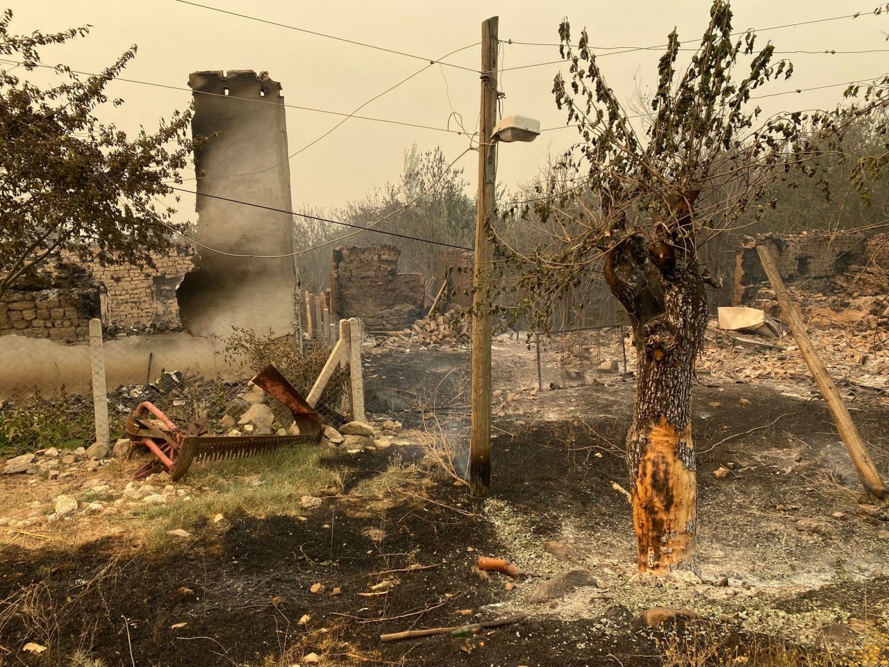 Sakarya'dan Sıçrayan Yangın Köyleri Kül Etti!