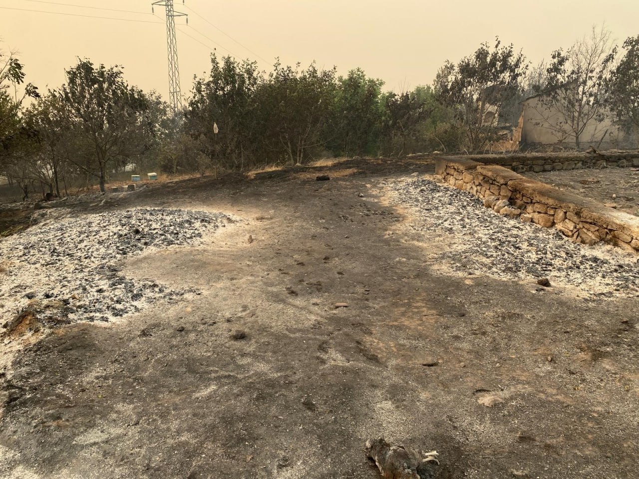 Sakarya'dan Sıçrayan Yangın Köyleri Kül Etti!