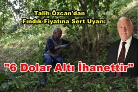 1729633-sakarya-da-kaliteli-urun-icin-findik-bahceleri-temizlendi-6694d562ac362
