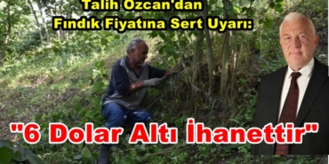 1729633-sakarya-da-kaliteli-urun-icin-findik-bahceleri-temizlendi-6694d562ac362