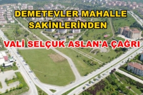 DEMETEVLER