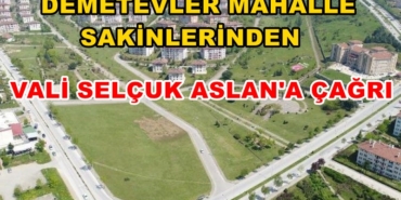 DEMETEVLER