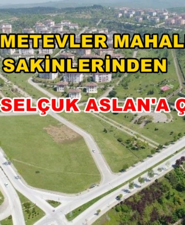 DEMETEVLER