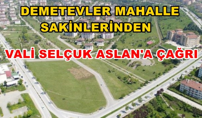 DEMETEVLER