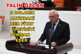 Talih Özcan