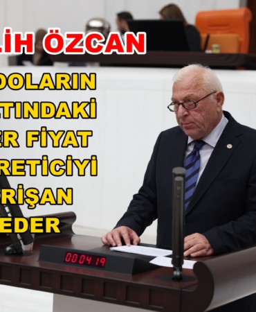 Talih Özcan