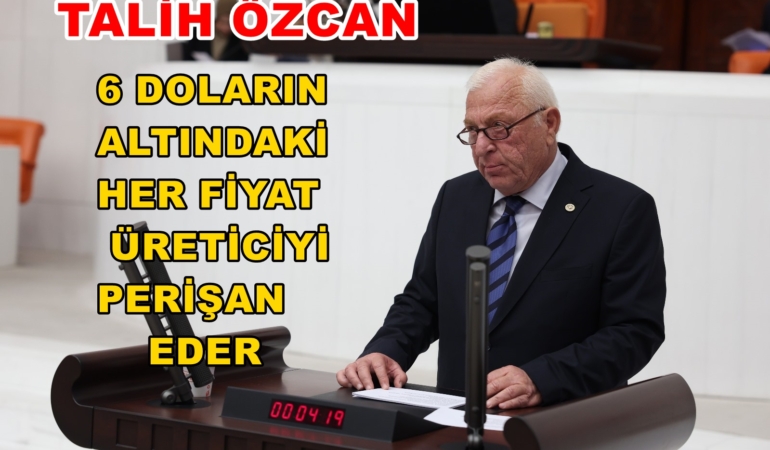 Talih Özcan