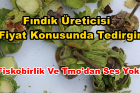 BİZİM DÜZCE GAZETESİ