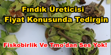 BİZİM DÜZCE GAZETESİ