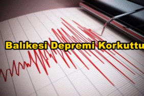 Bizim Düzce Gazetesi (1)