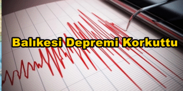 Bizim Düzce Gazetesi (1)
