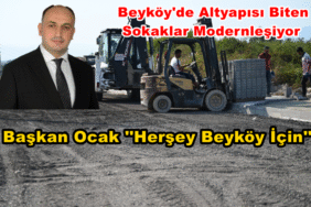 Bizim Düzce Gazetesi (2)
