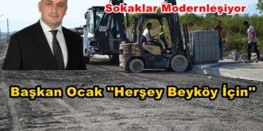 Bizim Düzce Gazetesi (2)