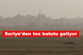 IMG_20250812_194332_167-e1755026445113