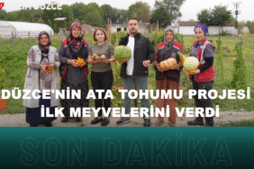 Bizim Düzce Gazetesi (19)