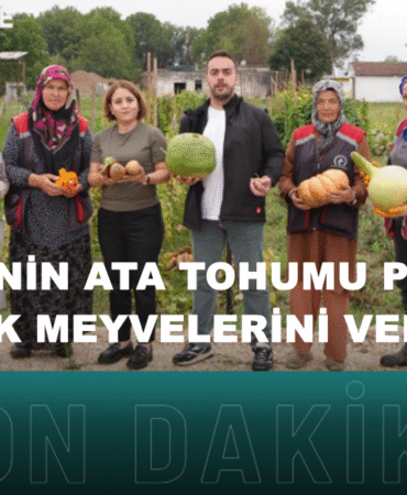 Bizim Düzce Gazetesi (19)
