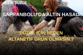 Bizim Düzce Gazetesi (8)