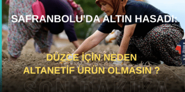 Bizim Düzce Gazetesi (8)