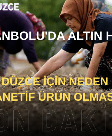 Bizim Düzce Gazetesi (8)