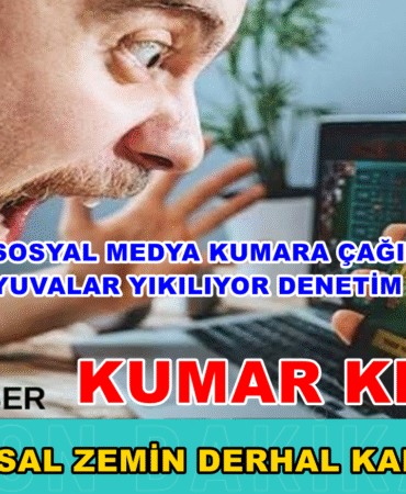 Bizim Düzce Gazetesi (99)