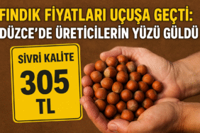 Fındık Fiyatları Yükseldi